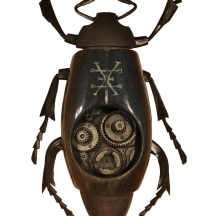 Wooden_beetle